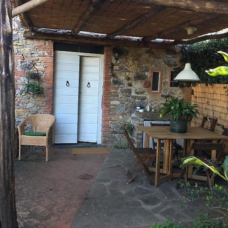 Casa Bouganville Massa Macinaia Экстерьер фото